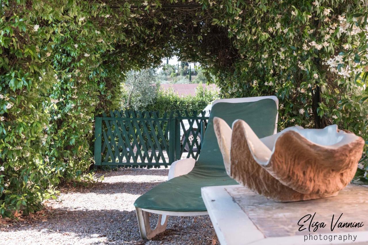 Casa vacanze Il Gelsomino Con Piscina Pisa