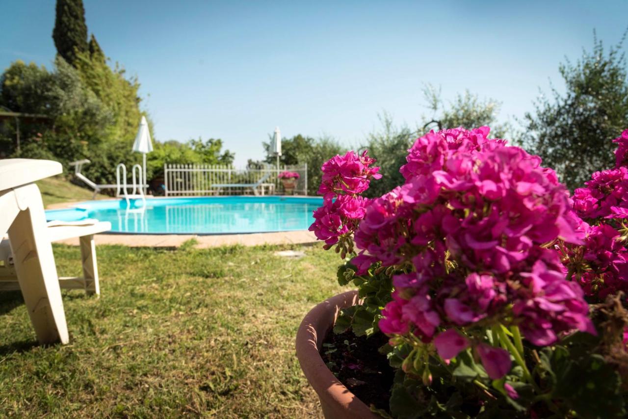 Casa vacanze Il Gelsomino Con Piscina
