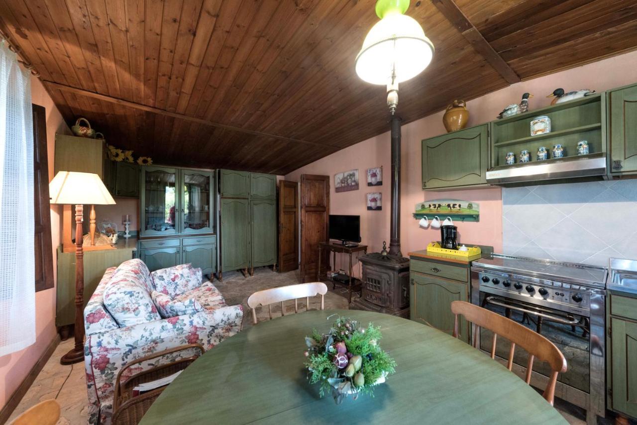 Casa vacanze Il Gelsomino Con Piscina Pisa